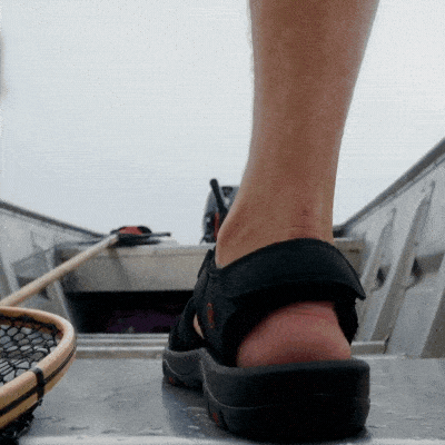 Why Choose STRIDE?